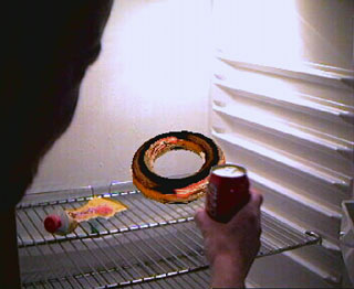 Torus in the refrigerator